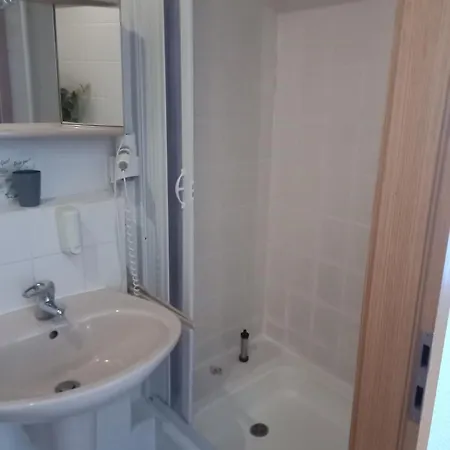 Zur Tanne Gasthuis Zwickau