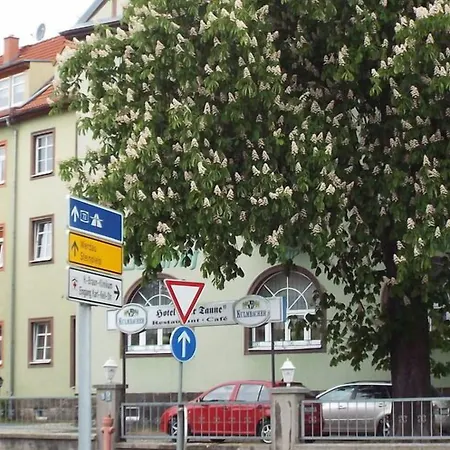 Zur Tanne ツウィッカウ